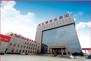 玉鋒實業(yè)集團捐200萬元支援抗擊疫情